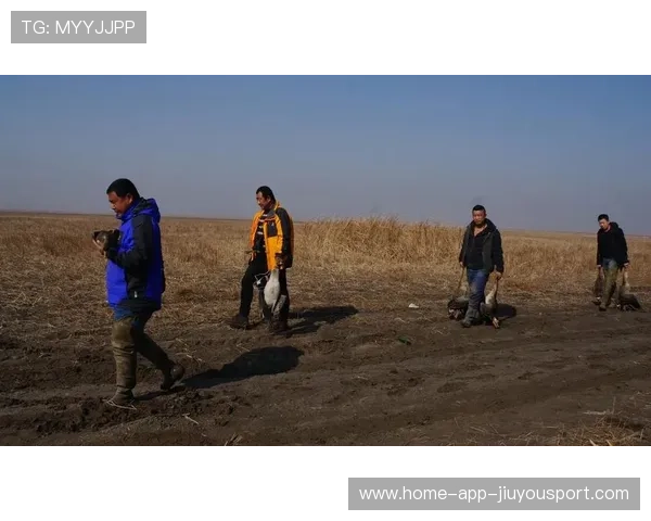 阿隆索湿地起飞表演 阿隆索湿地起飞表演