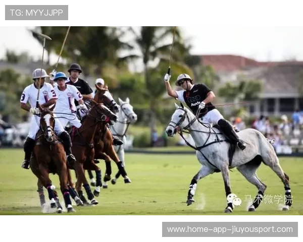 运动员商业权益保护法规加速推进,运动员权益保障 运动员商业权益保护法规加速推进,运动员权益保障